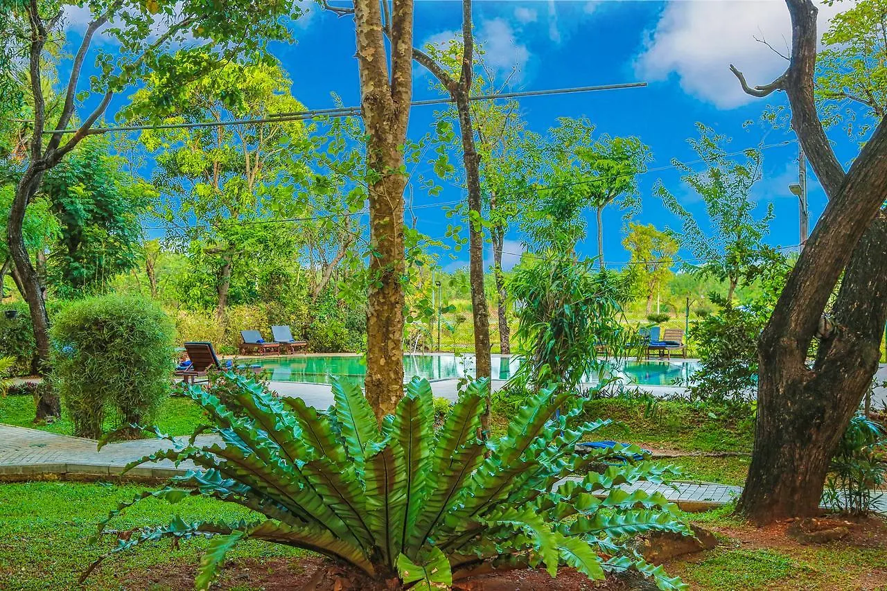 Pelwehera Village Resort Dambulla